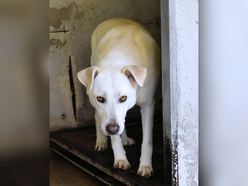 Luken - Zwei Seelen. Zwei Geschichten. Ein Ziel. Luken - Zwei Seelen. Zwei Geschichten. Ein Ziel.