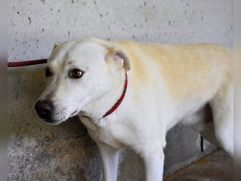 Luken - Zwei Seelen. Zwei Geschichten. Ein Ziel. Luken - Zwei Seelen. Zwei Geschichten. Ein Ziel.