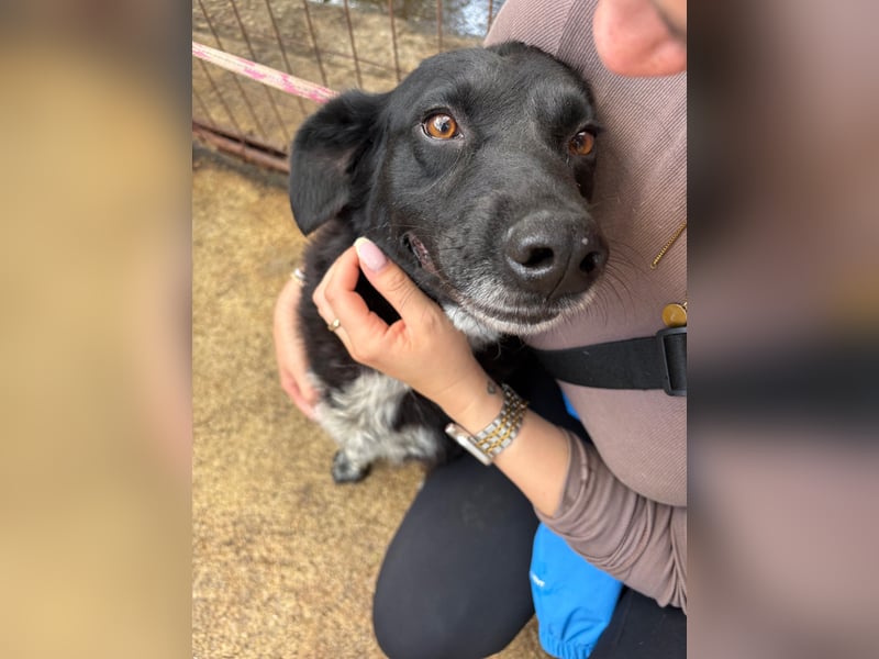 Pumba sucht ein Zuhause voller Wärme
