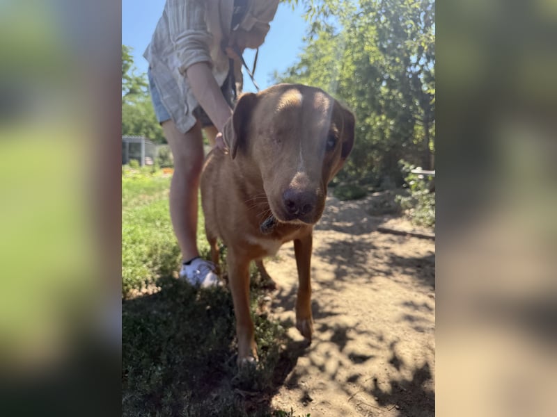 Jack träumt von einem eigenen Zuhause