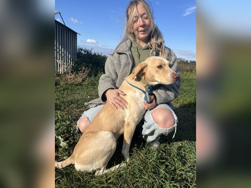 Joska - tollster Kerl auf 3 Beinen