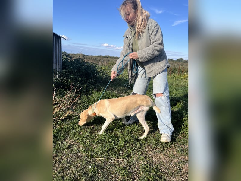Jóska möchte geliebt werden