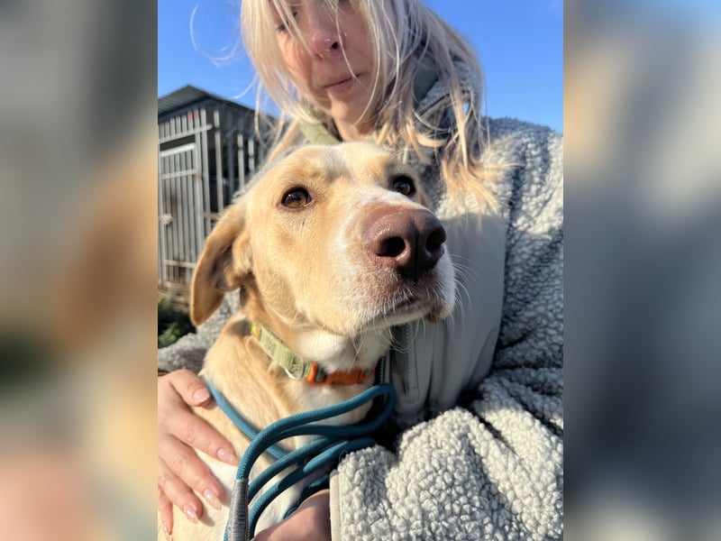 Jóska- holst du mich hier raus?