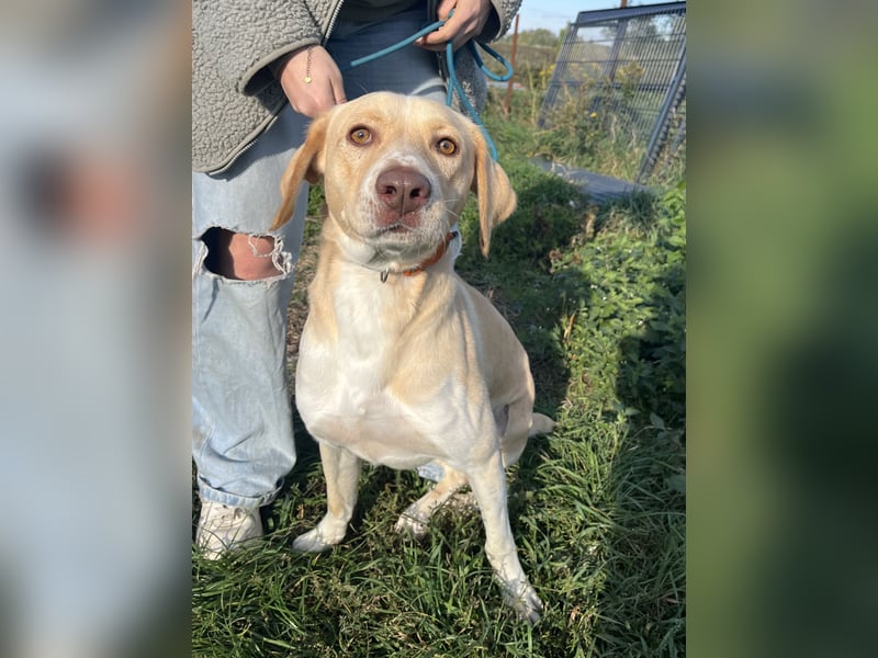 Jóska möchte geliebt werden