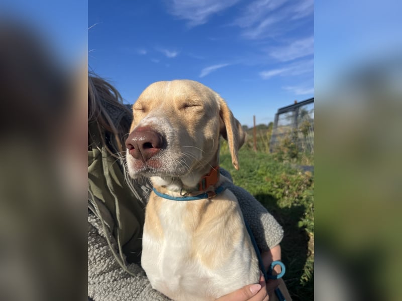 Jóska möchte geliebt werden