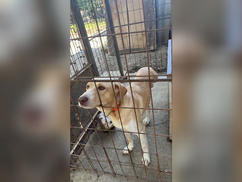 Jóska- holst du mich hier raus?