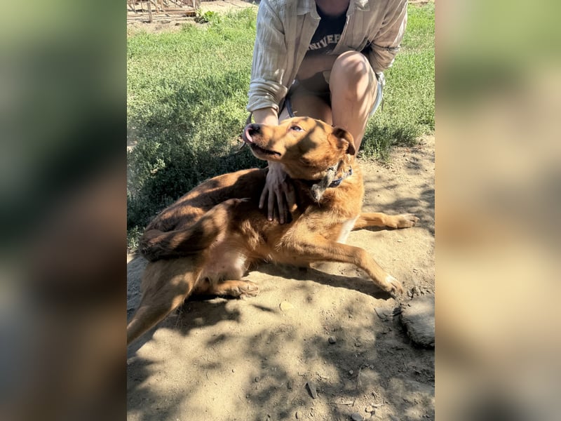 Jack träumt von einem eigenen Zuhause