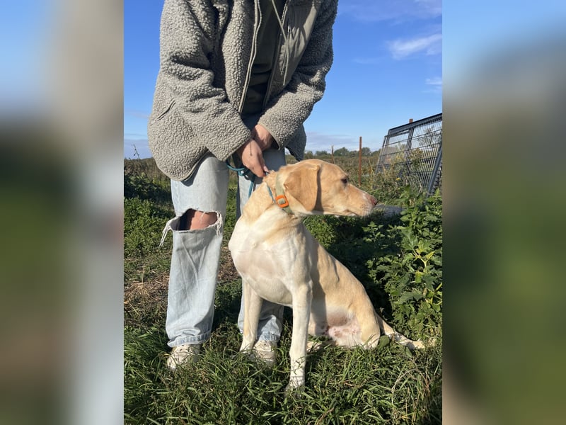 Jóska- holst du mich hier raus?