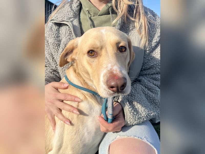 Jóska möchte geliebt werden