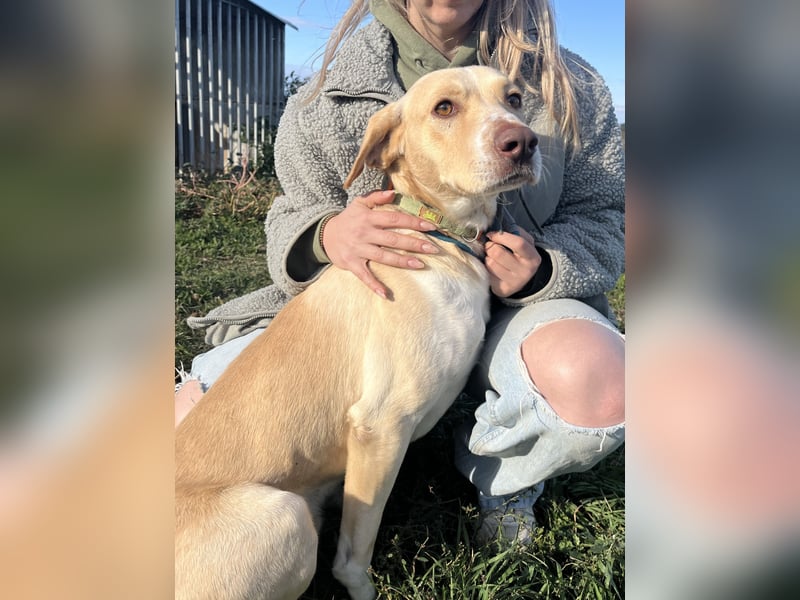 Jóska- holst du mich hier raus?