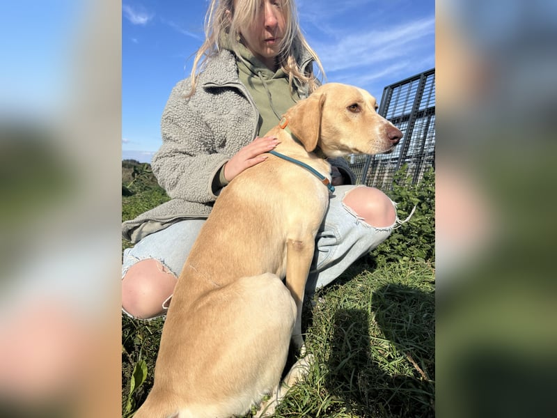 Jóska möchte geliebt werden