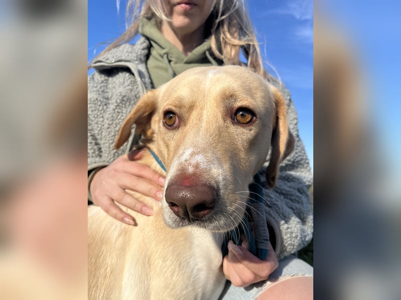 Jóska- holst du mich hier raus?