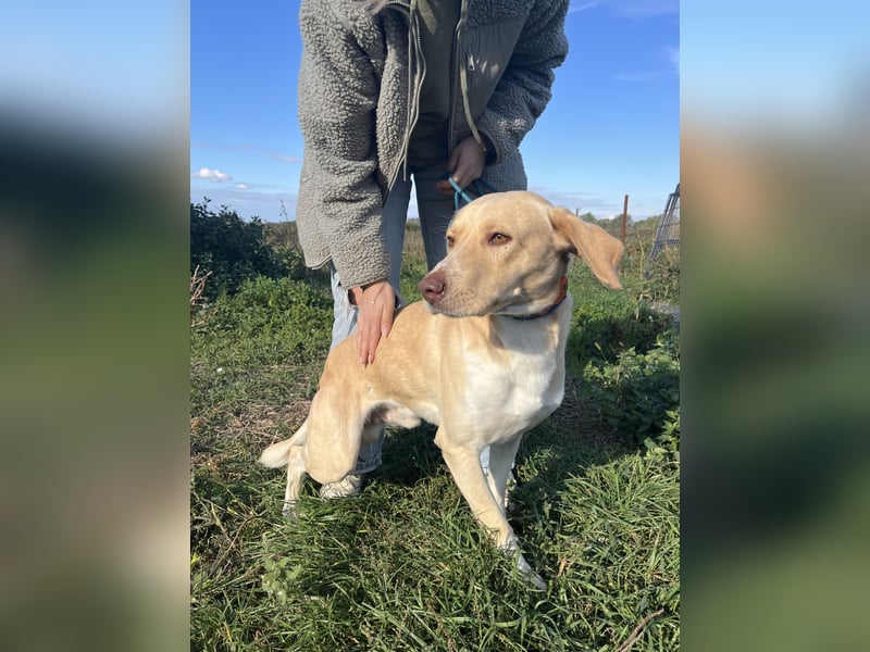 Jóska möchte geliebt werden