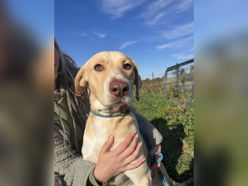Jóska bringt Schwung ins Haus