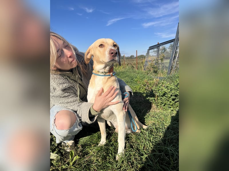 Jóska möchte geliebt werden