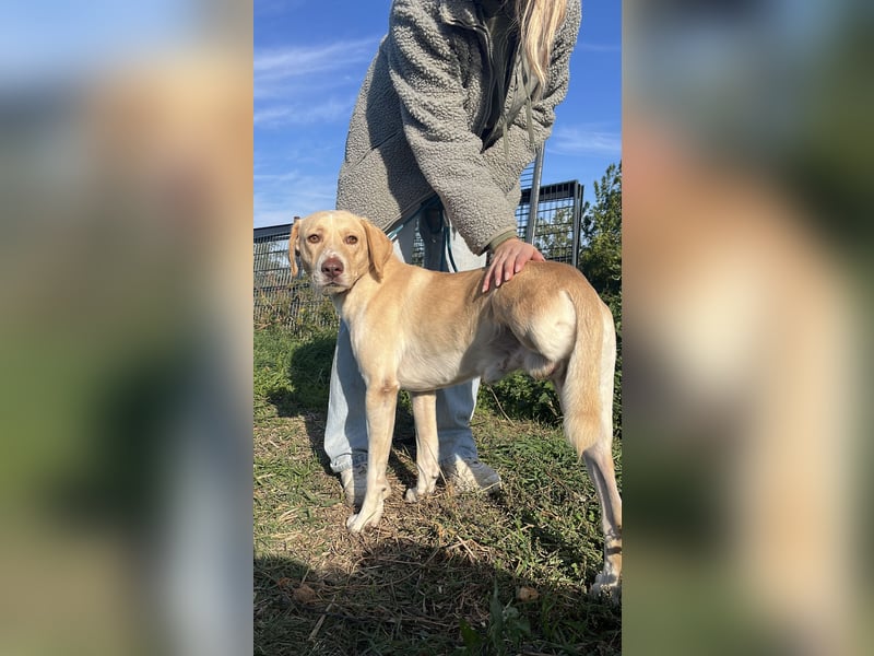 Jóska möchte geliebt werden