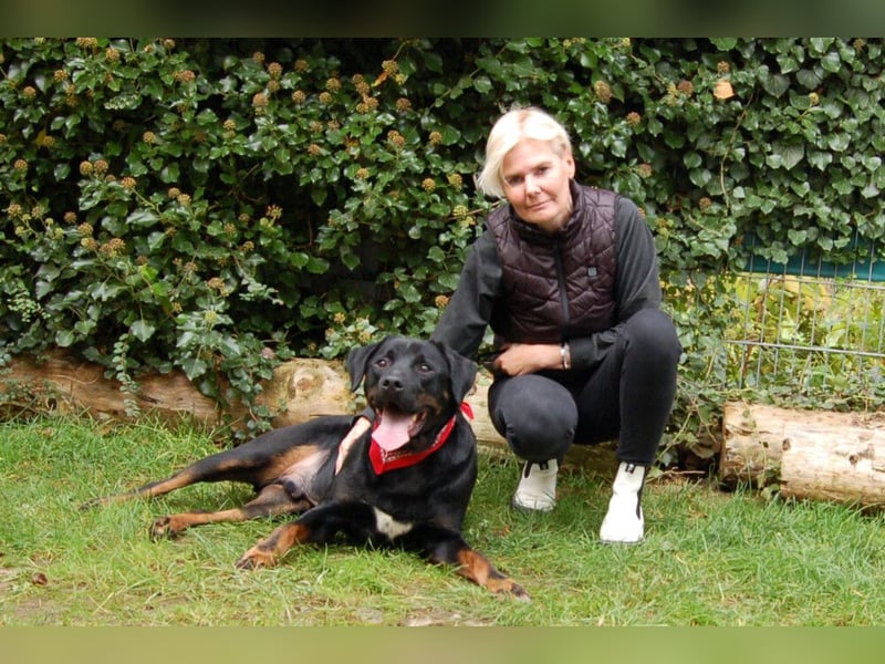 Chopper - Wirbelwind mit Köpfchen - Tierhilfe Franken e.V.