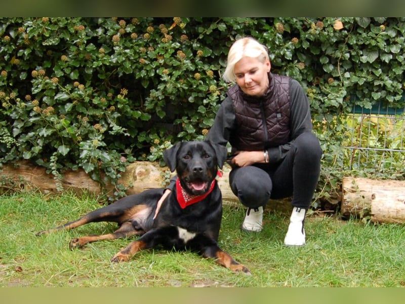 Chopper - Wirbelwind mit Köpfchen - Tierhilfe Franken e.V.