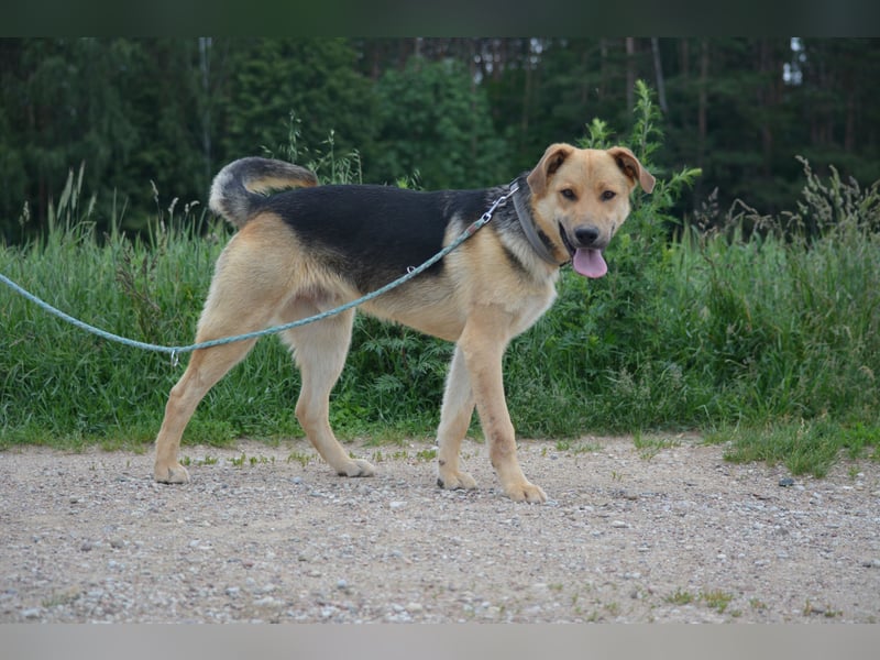 "Elliot", ca, 2023 geboren, sucht ein stabiles Zuhaus