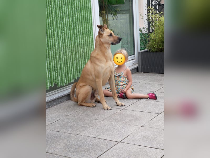 Dringend abzugeben (kostenlos)