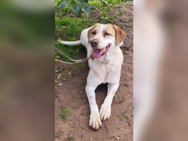 Luna, hat ihre Bezugsperson verloren