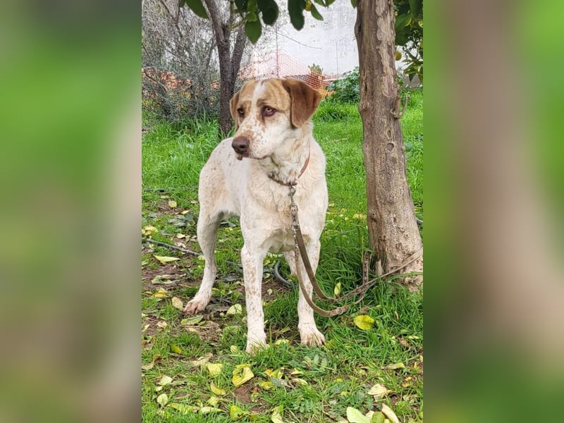 Luna, hat ihre Bezugsperson verloren