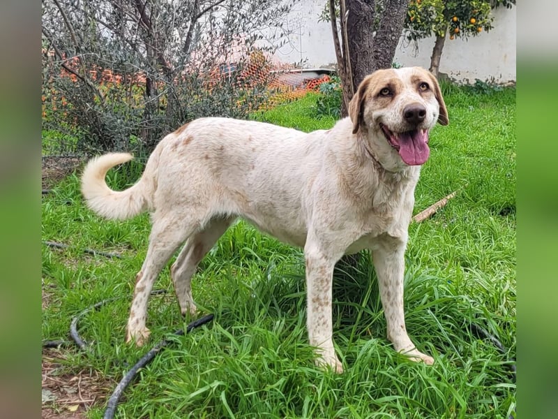 Luna, hat ihre Bezugsperson verloren