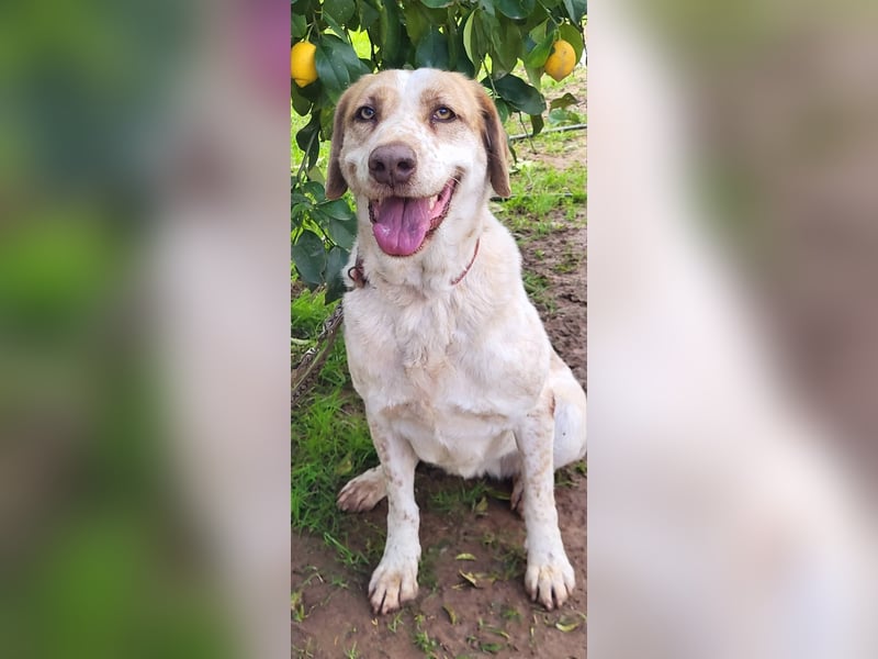 Luna, hat ihre Bezugsperson verloren