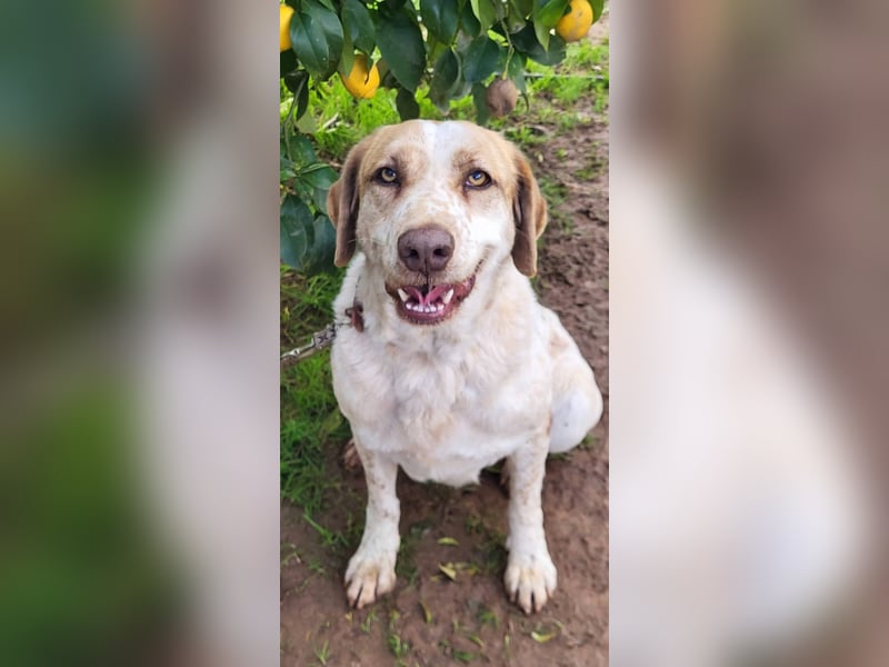 Luna, hat ihre Bezugsperson verloren