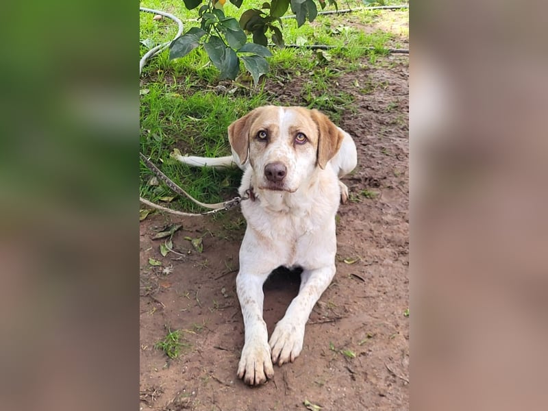 Luna, hat ihre Bezugsperson verloren