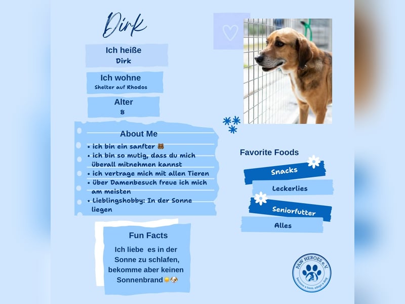 Sanfter und anhänglicher Rüde DIRK sucht eine Familie