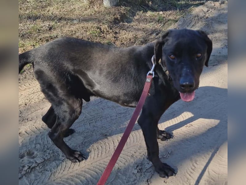 Talpas KK Raus aus dem Heim rein ins Herz