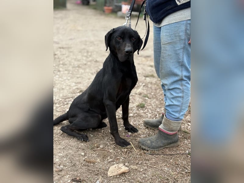 Talpas KK Raus aus dem Heim rein ins Herz