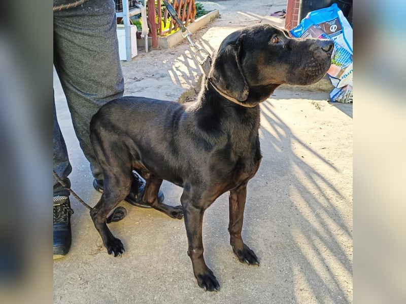 Talpas KK Raus aus dem Heim rein ins Herz