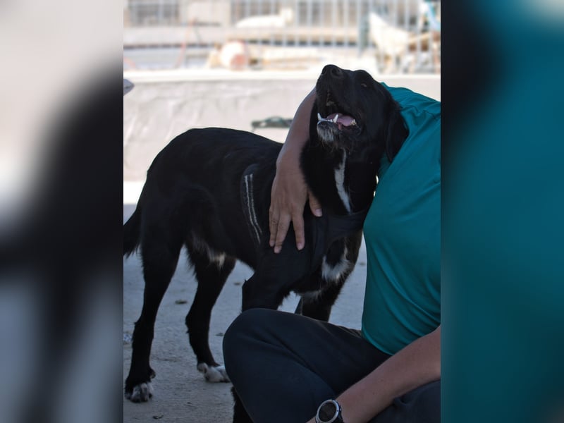 Dibala - ein Herz aus purem Gold