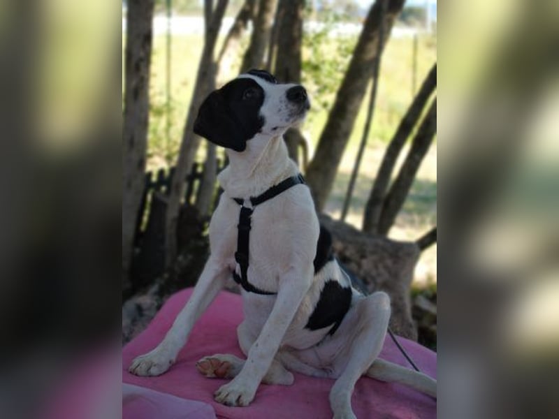 Alice- mit einem Lächeln ins Wunderland