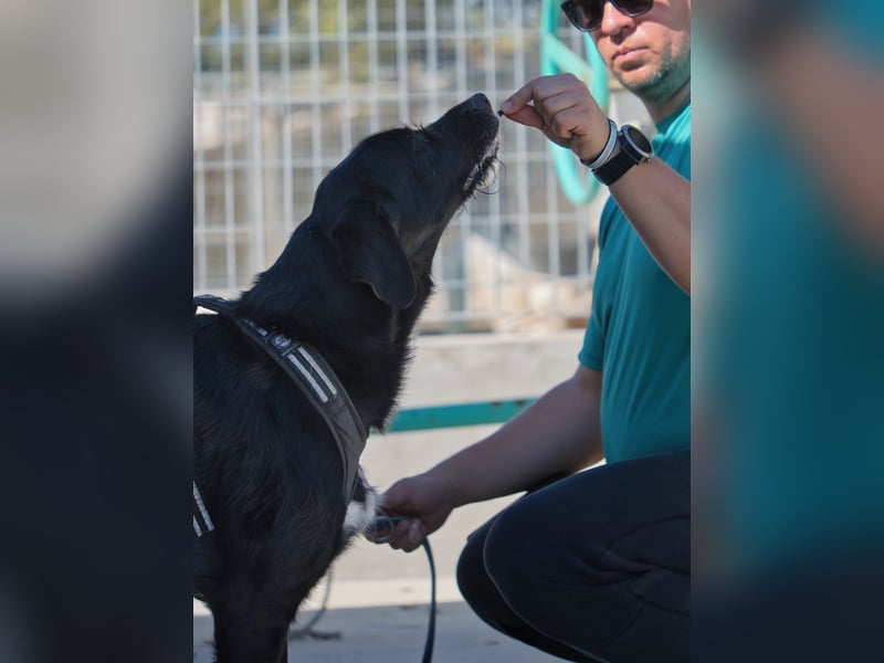 Dibala - ein Herz aus purem Gold