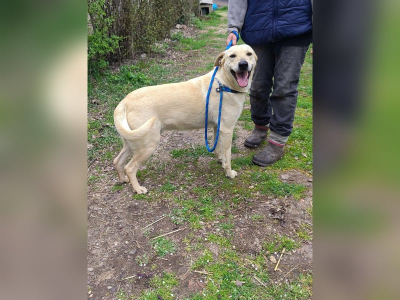 Max, geb. 06.2024, 55cm sucht sein Zuhause