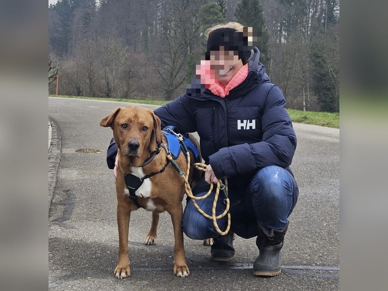 Medo das tollste Wesen auf dem Planeten