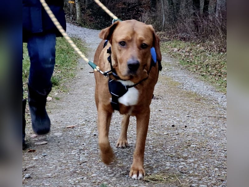 Medo das tollste Wesen auf dem Planeten