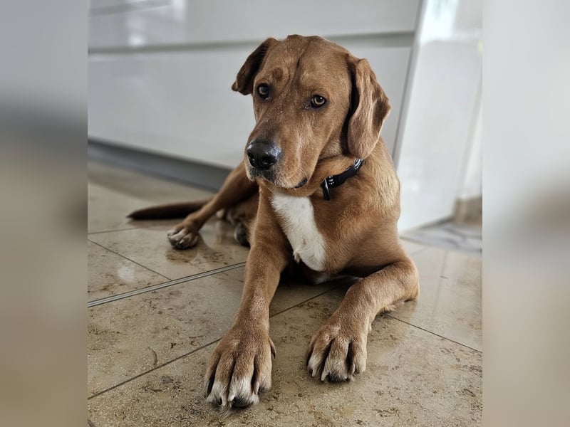 Medo das tollste Wesen auf dem Planeten