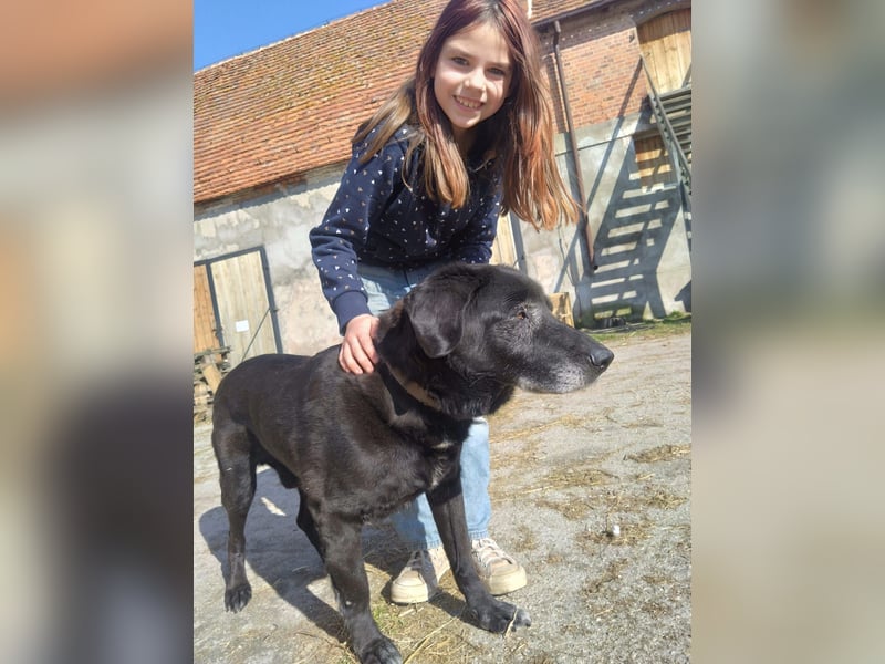 Blackie sucht letztes Zuhause