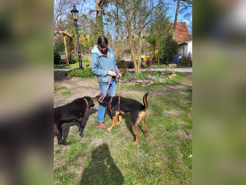 Blackie sucht letztes Zuhause