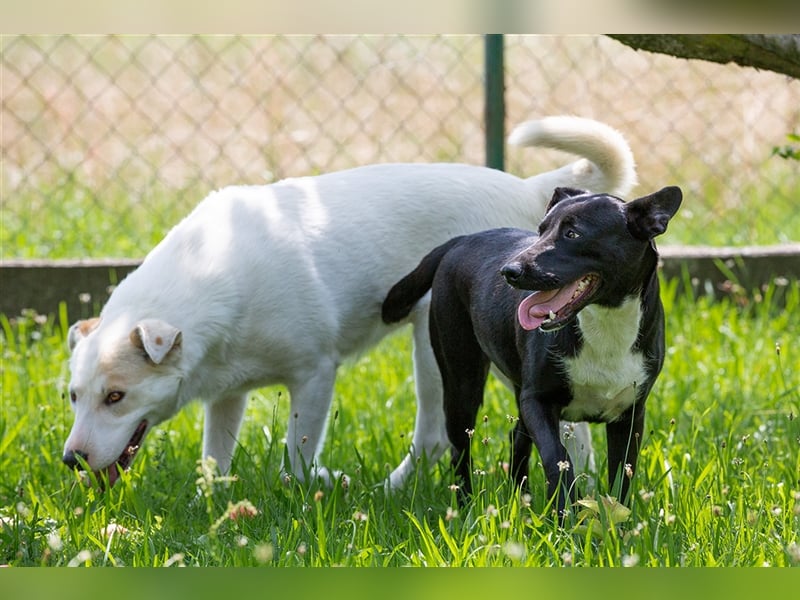 Mia-Cara Endlich Teil einer Familie sein