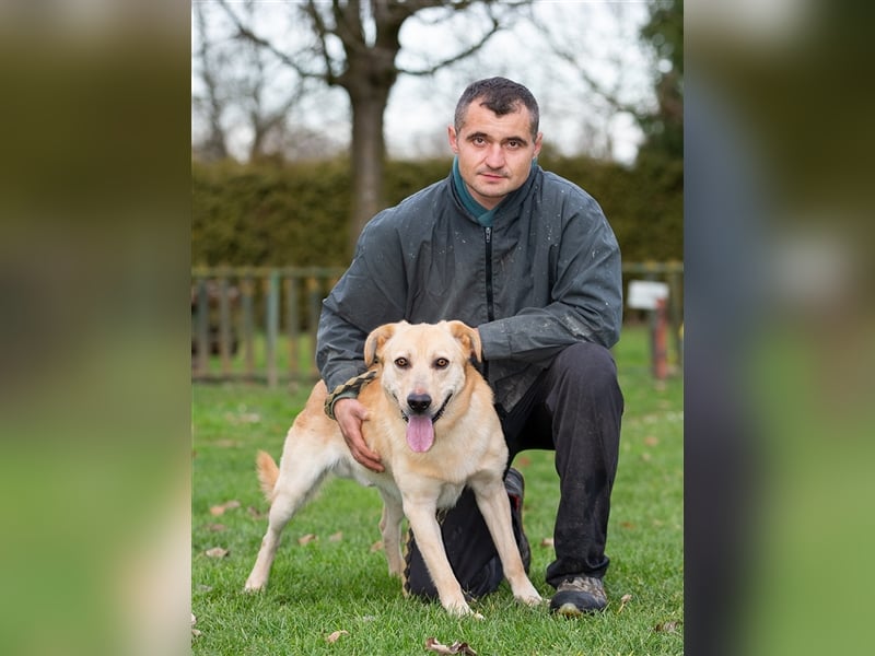 Marley auf der Suche nach einem Fürimmer-Zuhause