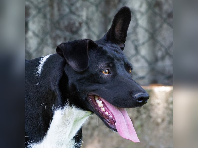 Mia-Cara Endlich Teil einer Familie sein
