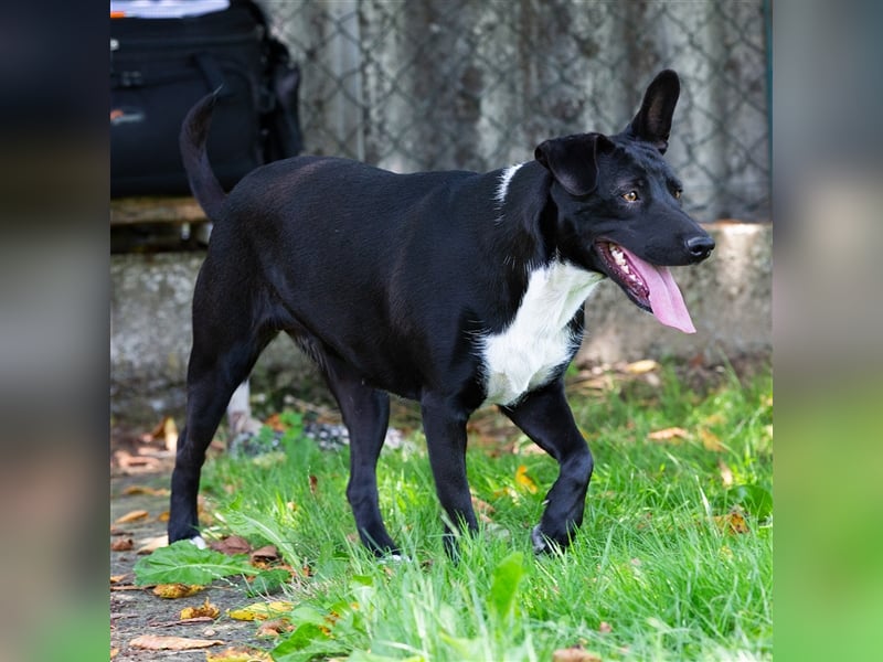 Mia-Cara Endlich Teil einer Familie sein