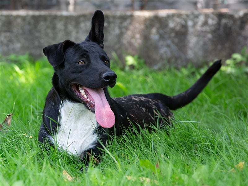 Mia-Cara Endlich Teil einer Familie sein