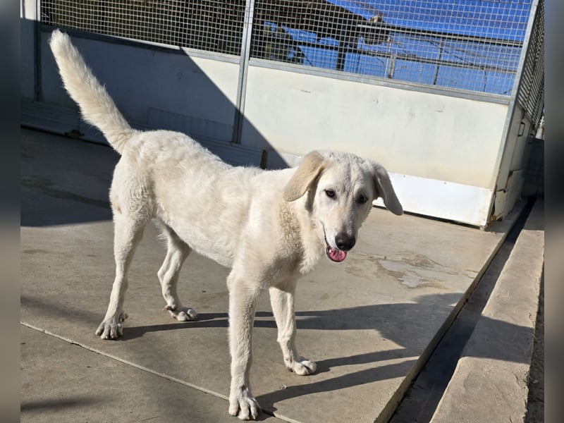 Teo:  wer zeigt ihm die bunte Welt?