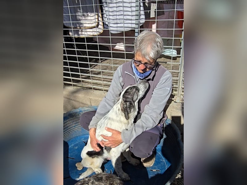 Cassian: Von der Flasche ins Tierheim